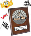 Immagine di PREMIO GOKART - Art. WP4060