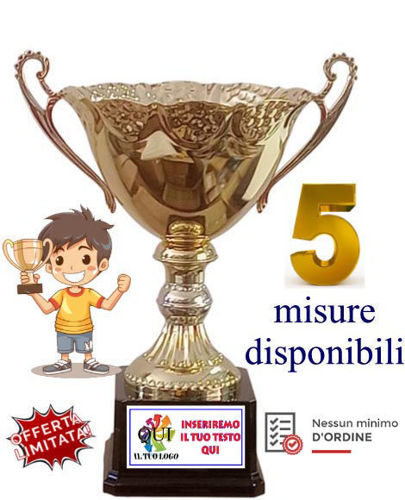 Immagine di COPPA CON MANICI - Art. CM746