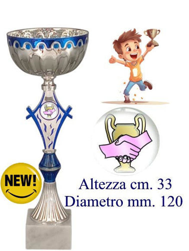 Immagine di PREMIO FAIR PLAY - Art. A03SB