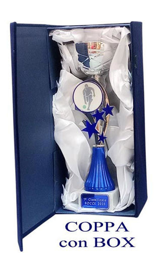 Immagine di Art. 123/2 BOCCE CON BOX Art. SC/A