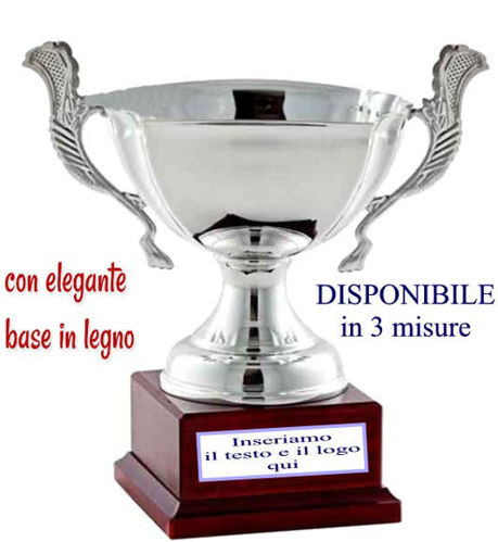 Immagine di COPPA IN METALLO - Art. CM505