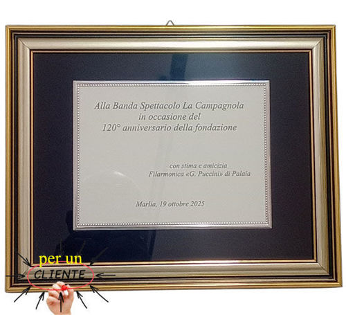 Immagine di QUADRO CON TARGA ART. 273/C