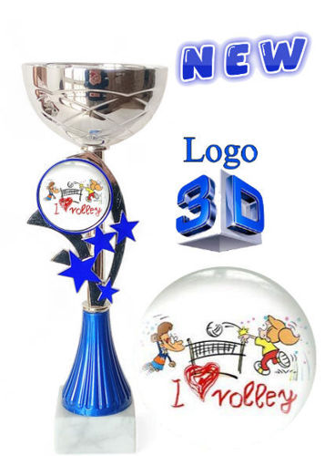 Immagine di PREMIO PALLAVOLO - Art. 123/2