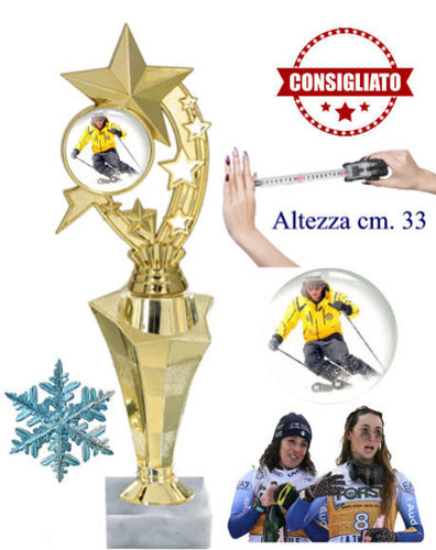 Immagine di PREMIO SCI - Art. F235G/CC