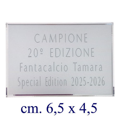 Immagine di TARGHETTA ALLUMINIO mm. 65 x 45