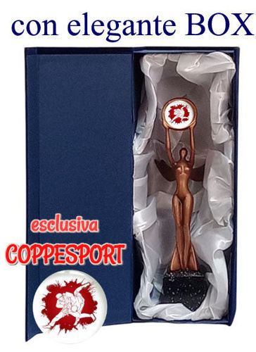 Immagine di TROFEO CON BOX - Art. RFPL1008