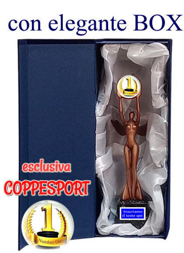 Immagine di TROFEO CON BOX - Art. RFPL1008