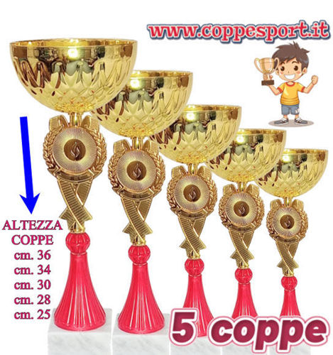 Immagine di SERIE DI 5 COPPE - Art. 452/S5