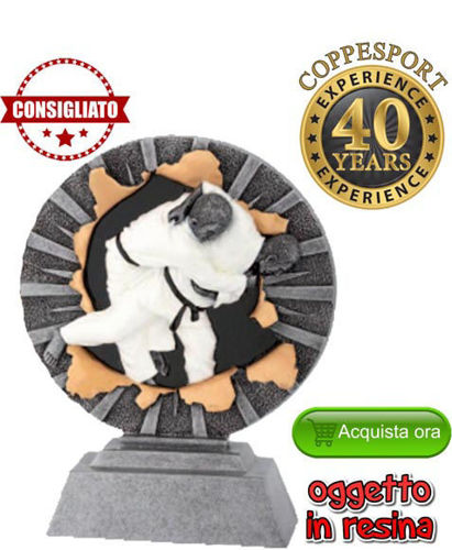 Immagine di TROFEO JUDO - Art. FG1042