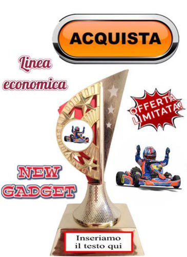 Immagine di PREMIO GO KART - Art. 382R