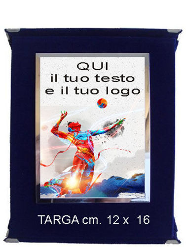 Immagine di TARGA VOLLEY - Art. AS1001V