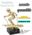 Immagine di SOGGETTO PREMIO SCI - Art. F35/G